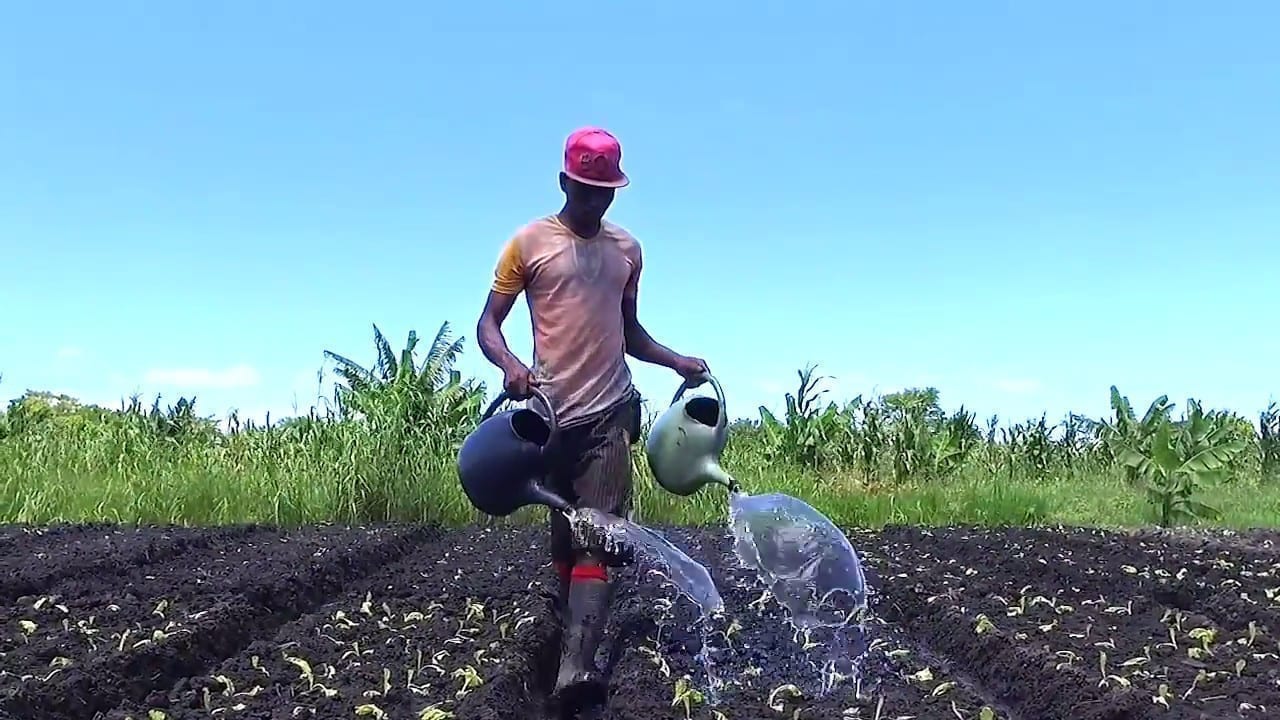 Agricultura jovens.jpg