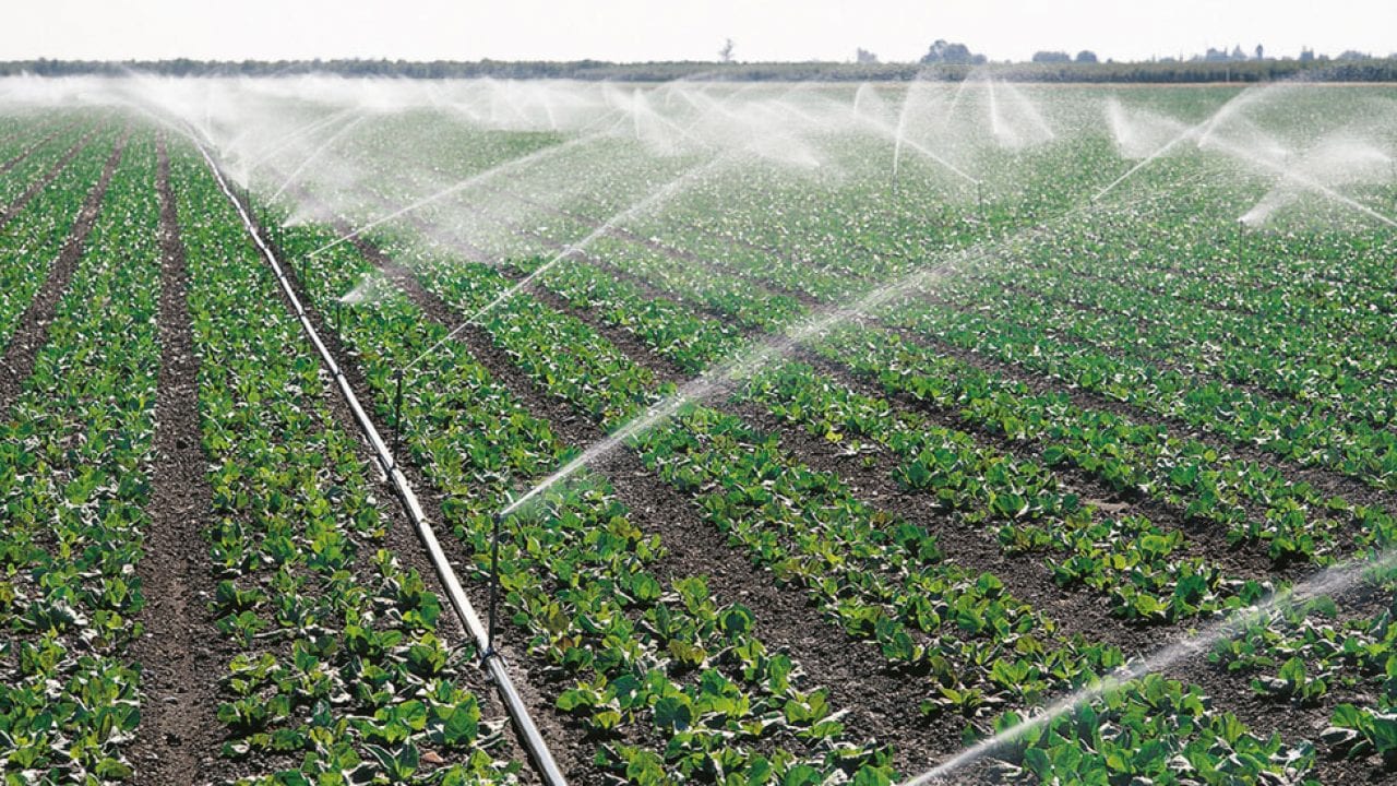 Agricultura regadio.jpg