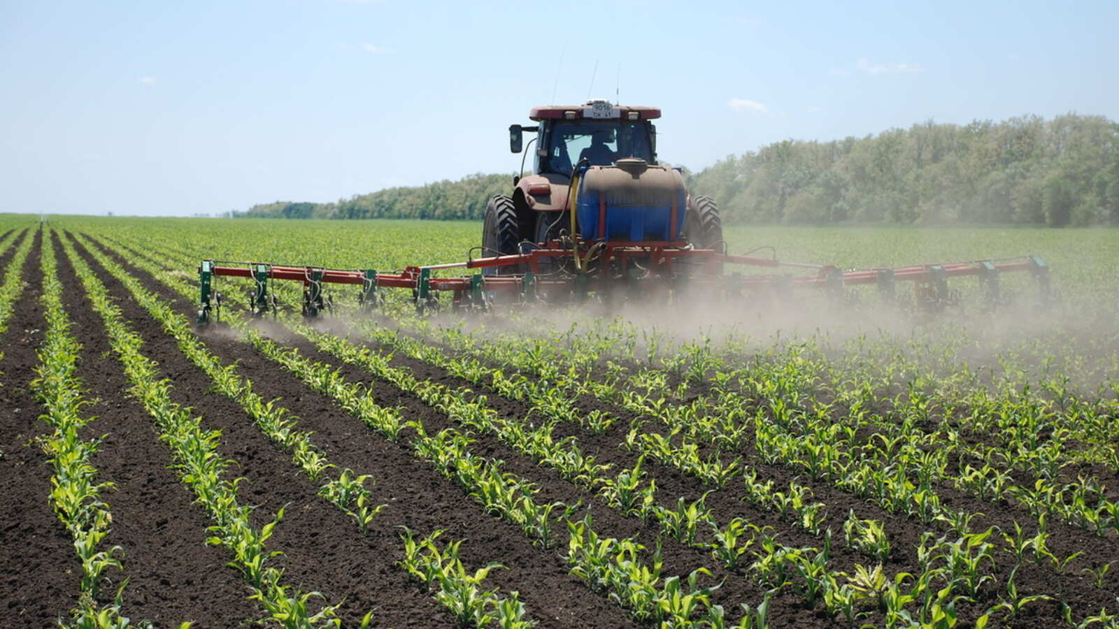 Agricultura.jpg