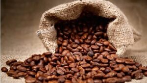 Cafe moz.jpg