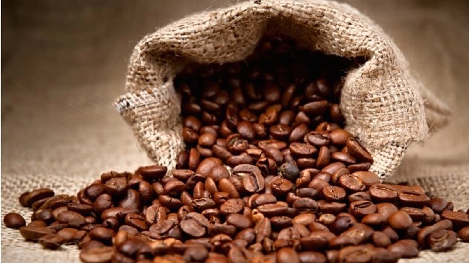 Cafe moz.jpg