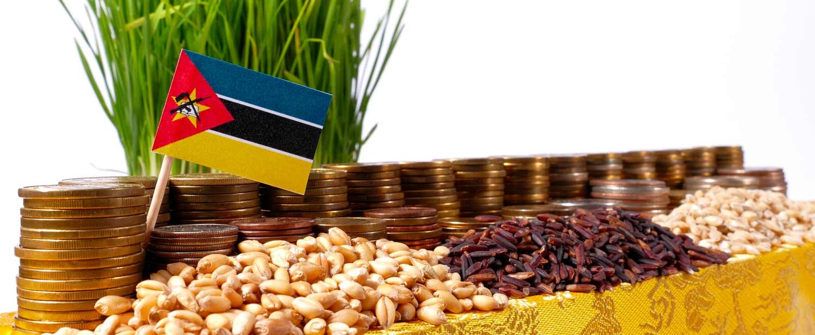 Comercializacao agricultura mocambique.jpg