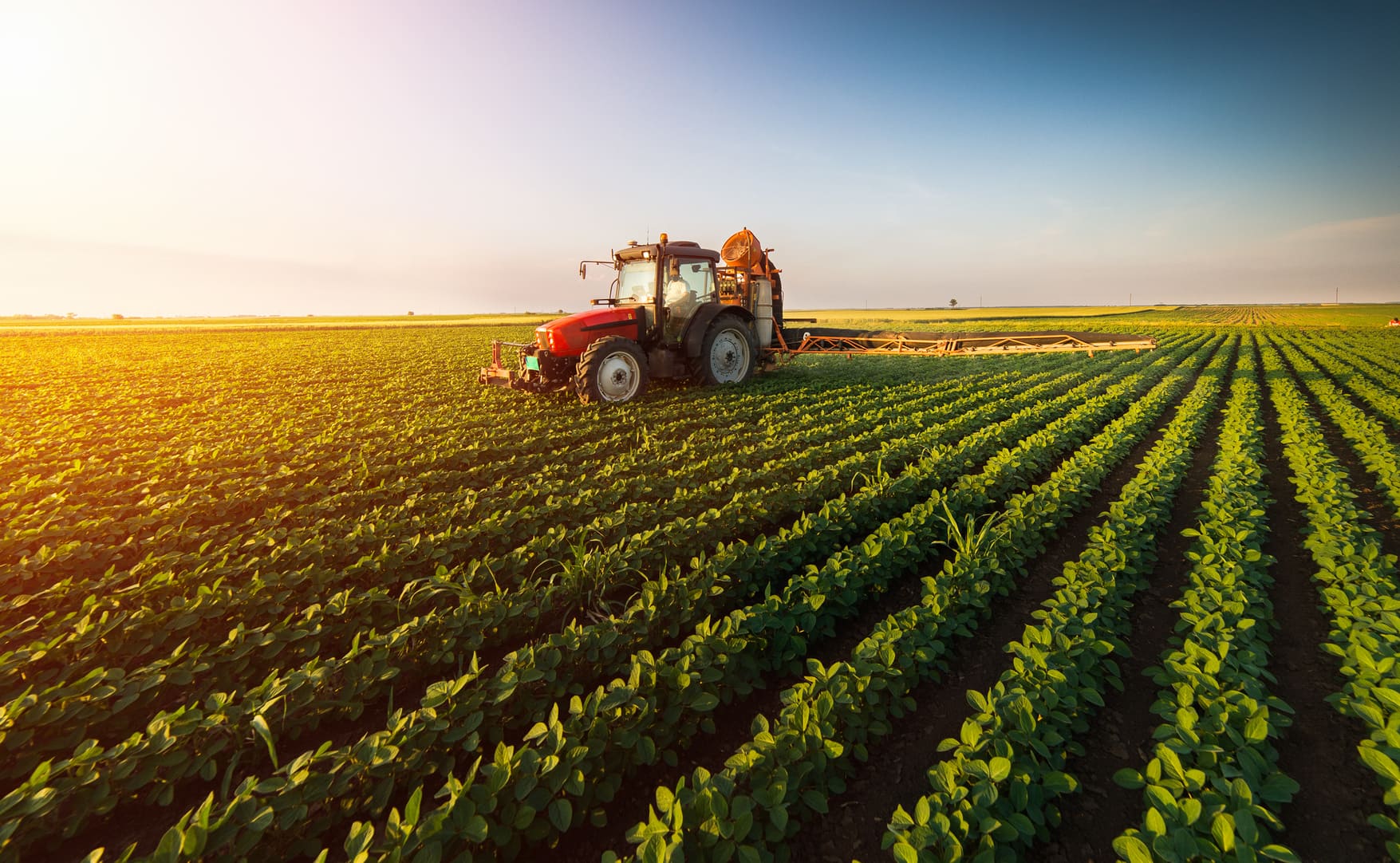 Agricultura agronegocio.jpg